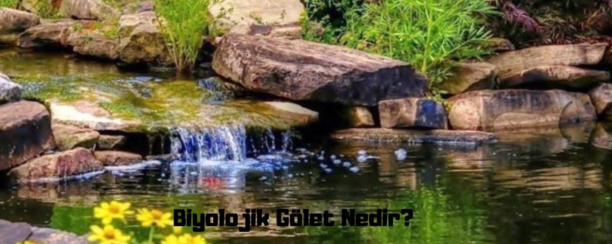 Biyolojik gölet nedir